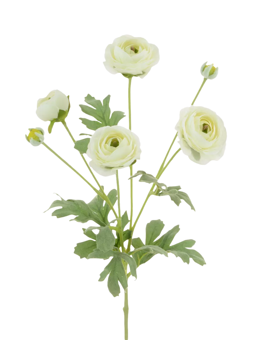 Floralsilk artificial ranunculus stem white 66cm, UK version