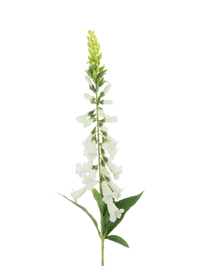 John Lewis Floralsilk Artificial Foxglove Stem, White, 97cm- Buy online at McGrocer
