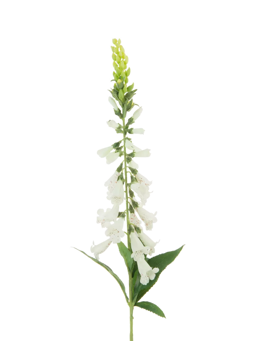 Floralsilk artificial foxglove stem white 97cm - British product