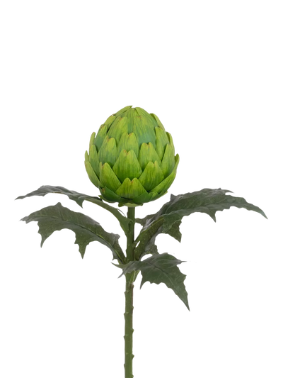 John Lewis Floralsilk Artificial Large Artichoke Stem Green 66cm- Buy online at McGrocer