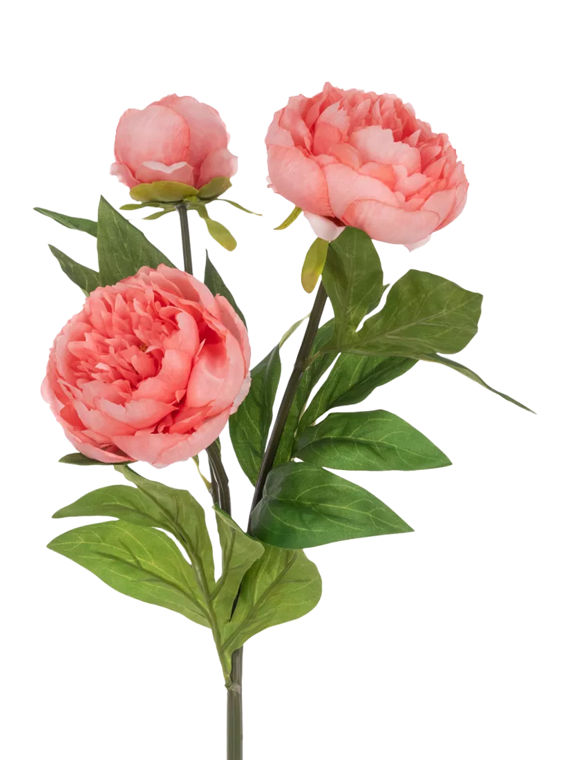 Floralsilk peach artificial peony spray 76cm, UK version