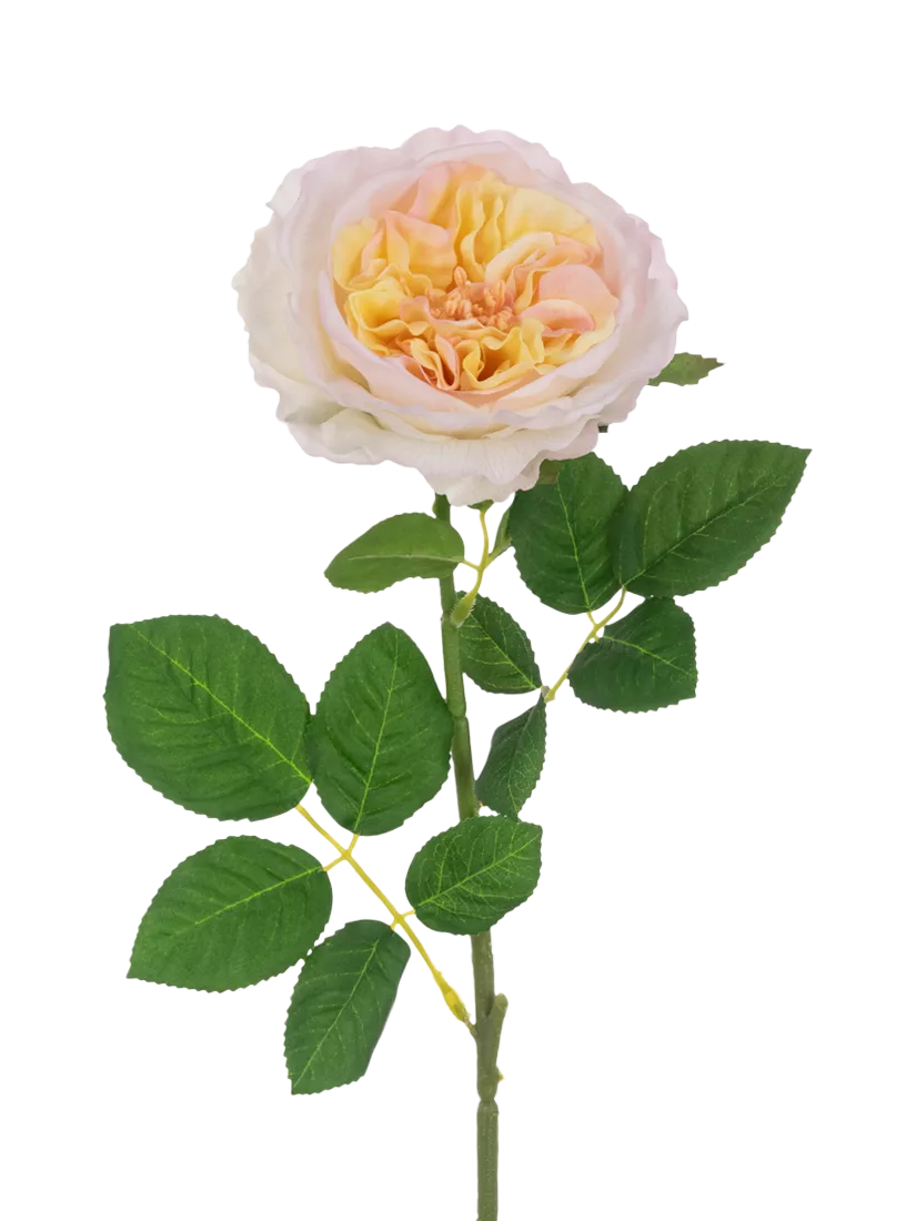 Floralsilk artificial rose stem 60cm peach - British product