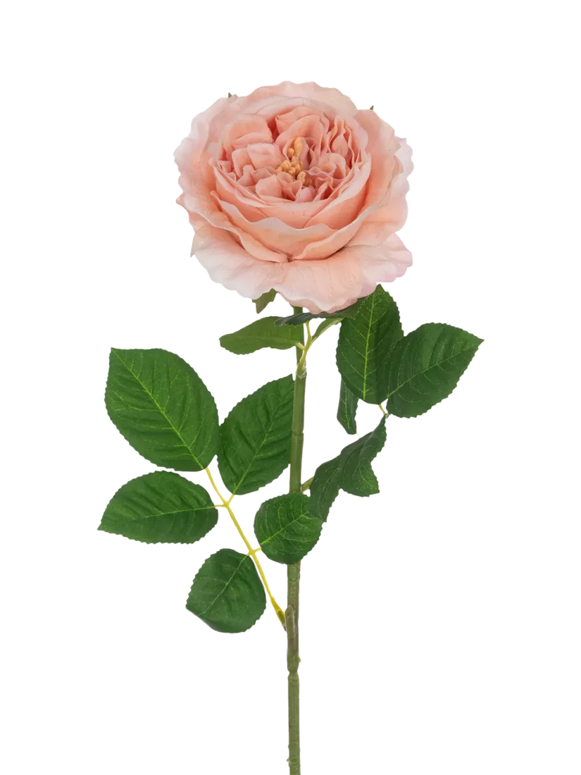 Floralsilk artificial rose stem pink 60cm, UK version