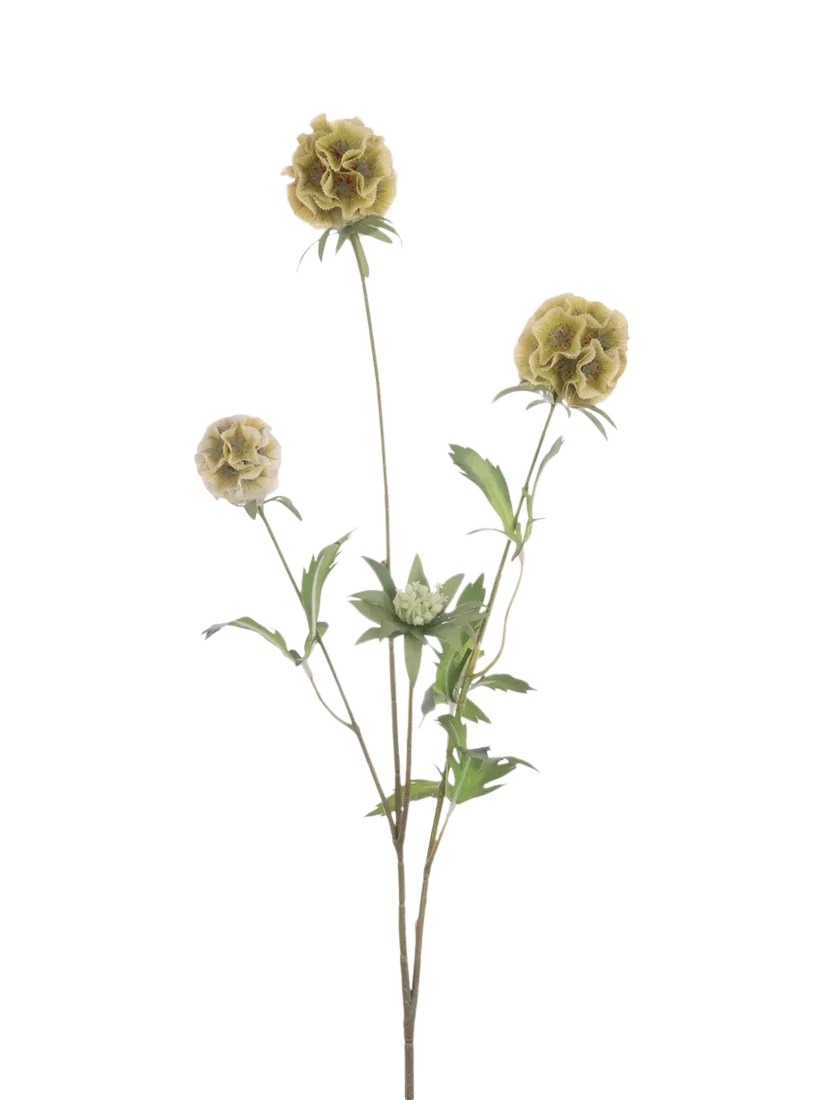 Floralsilk artificial Scabiosa Stellata spray green 73cm - British product