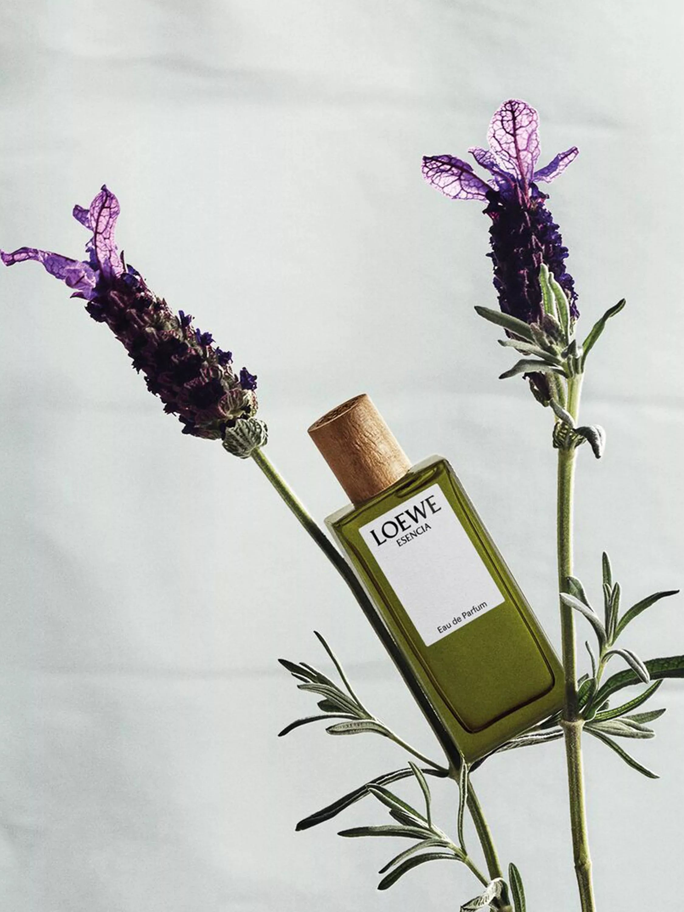 LOEWE Botanical Rainbow gift set 35ml, imported from the UK