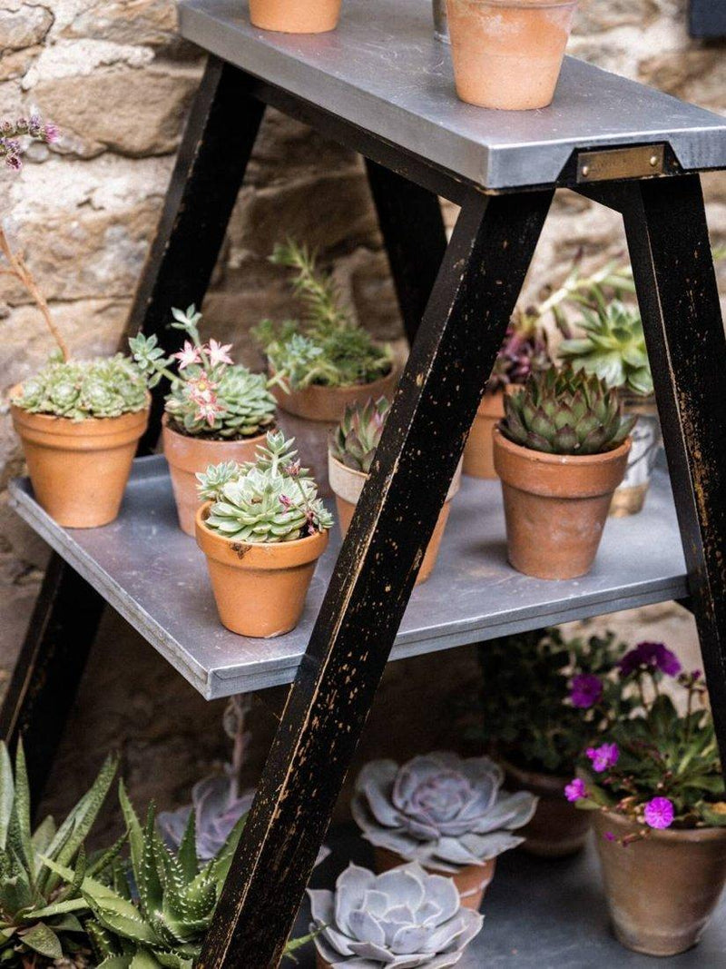 Wilstone 3-tier plant ladder mango wood galvanised steel - British product