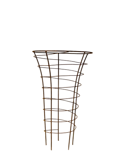 John Lewis Wilstone Trumpet Plant Frame- Buy online at McGrocer