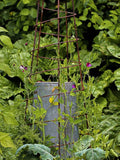 Wilstone Spiral Obelisk garden support mild steel (British brand)