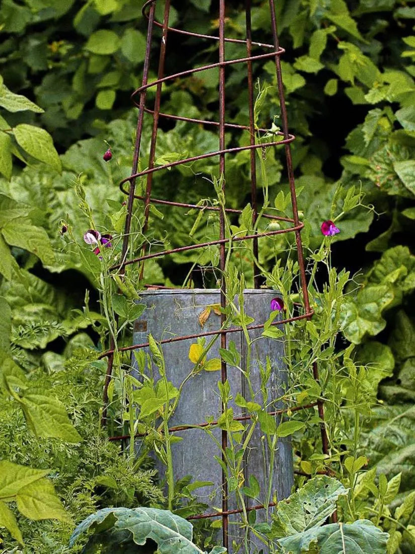 Wilstone Spiral Obelisk garden support mild steel (British brand)