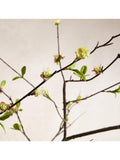 West Elm faux blossom branch arrangement, imported from the UK