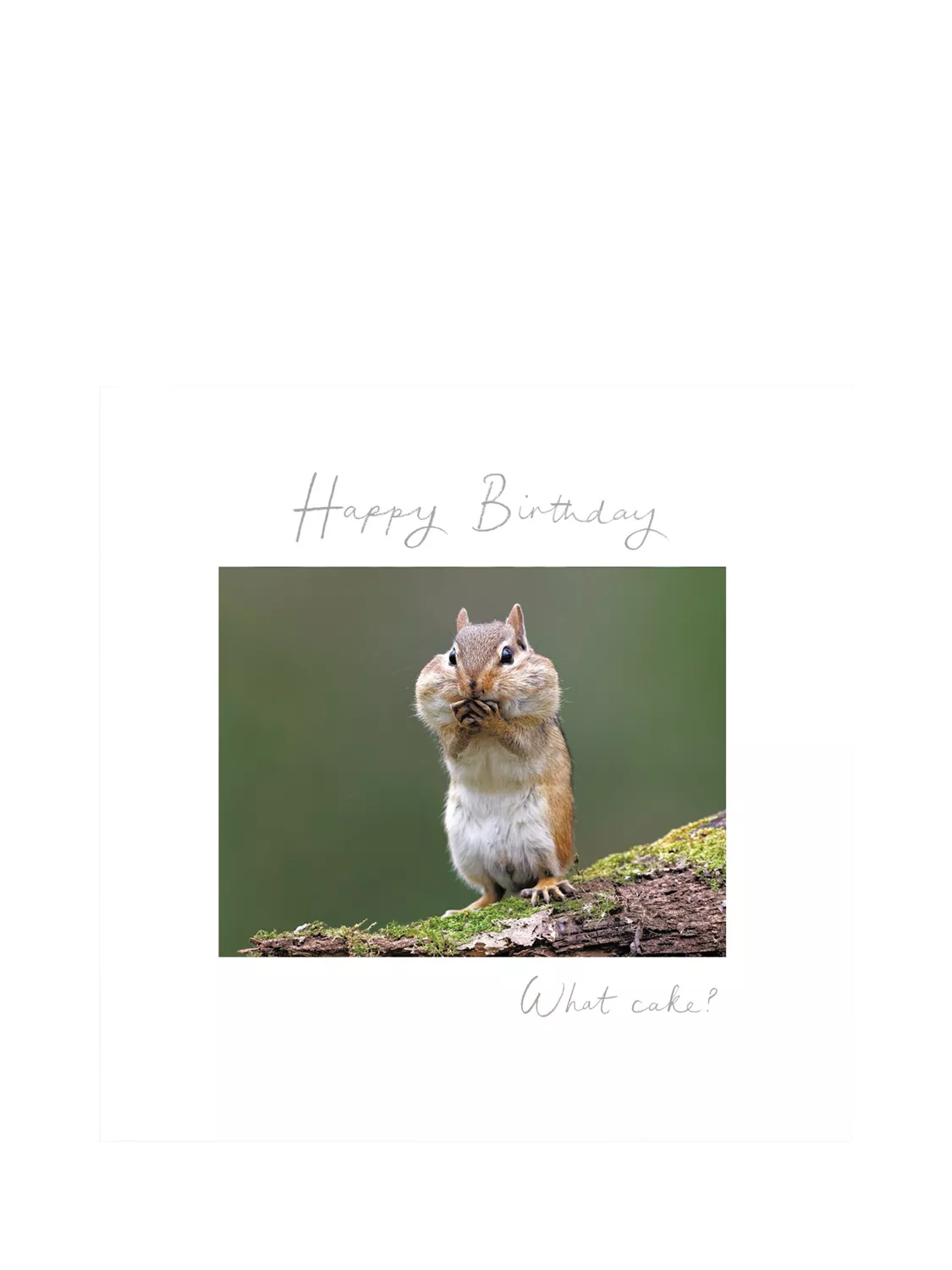 Woodmansterne birthday card chipmunk design blank inside, imported from the UK