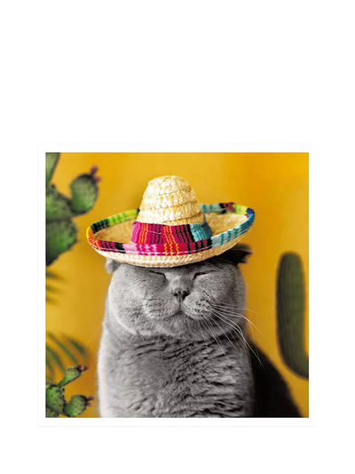 John Lewis Woodmansterne Grey Cat With Sombrero Birthday Greeting Card- Buy online at McGrocer