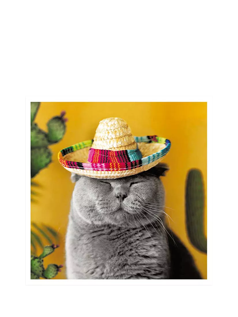 Woodmansterne grey cat greeting card with sombrero - British product