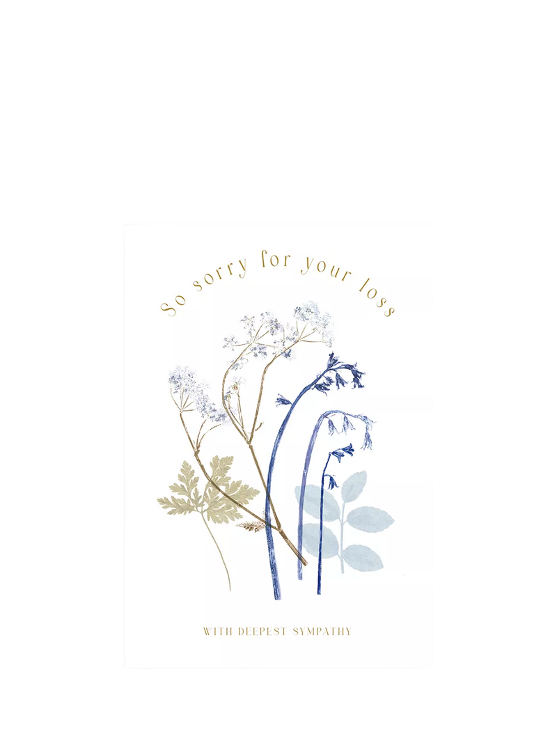 Woodmansterne pressed bluebells and ferns sympathy card - British product