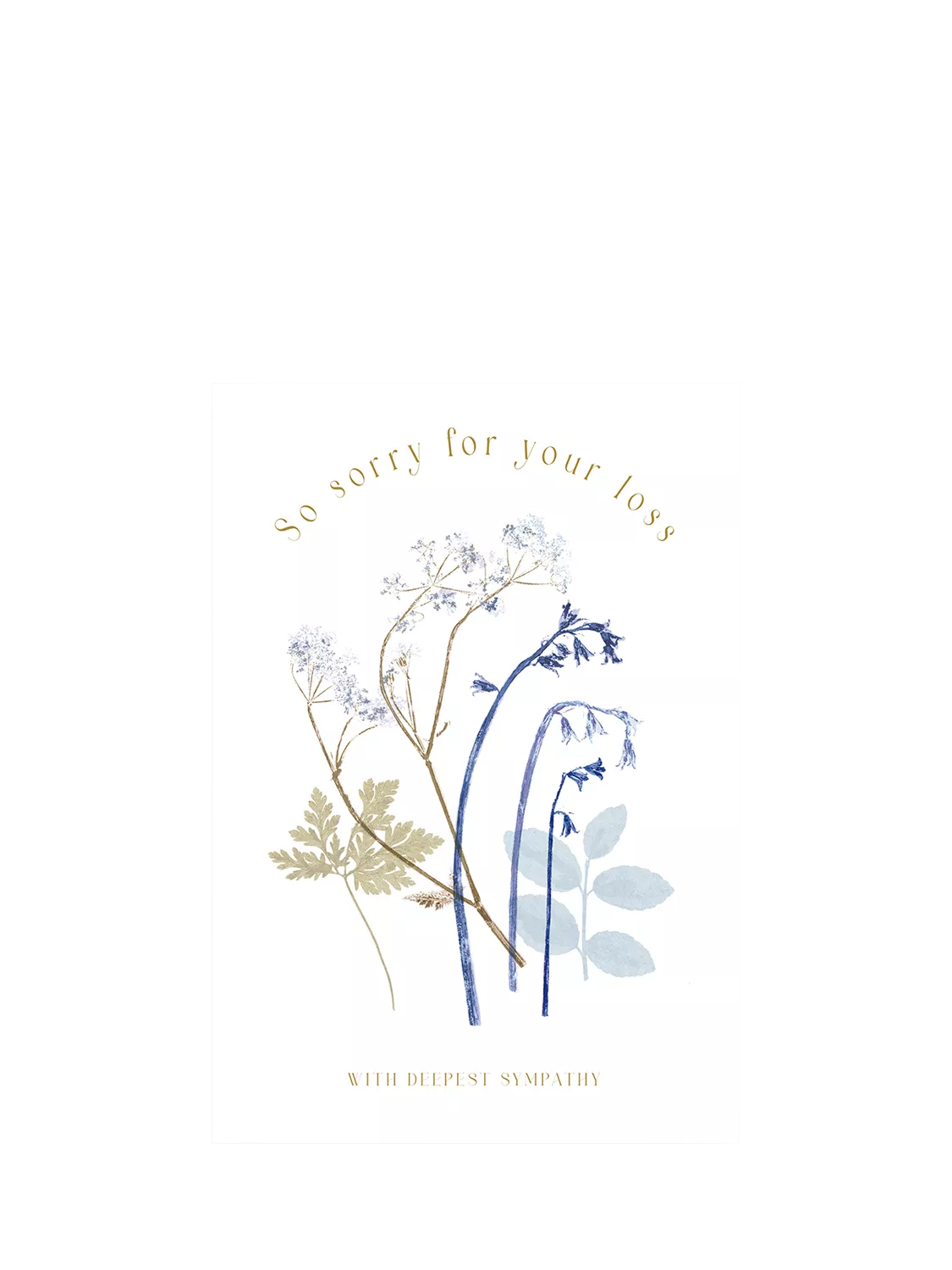Woodmansterne pressed bluebells and ferns sympathy card - British product