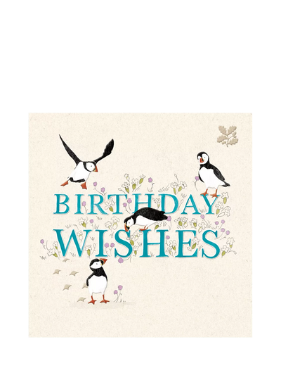 John Lewis Woodmansterne Puffins Birthday Card, Embossed, 166 x 167mm- Buy online at McGrocer
