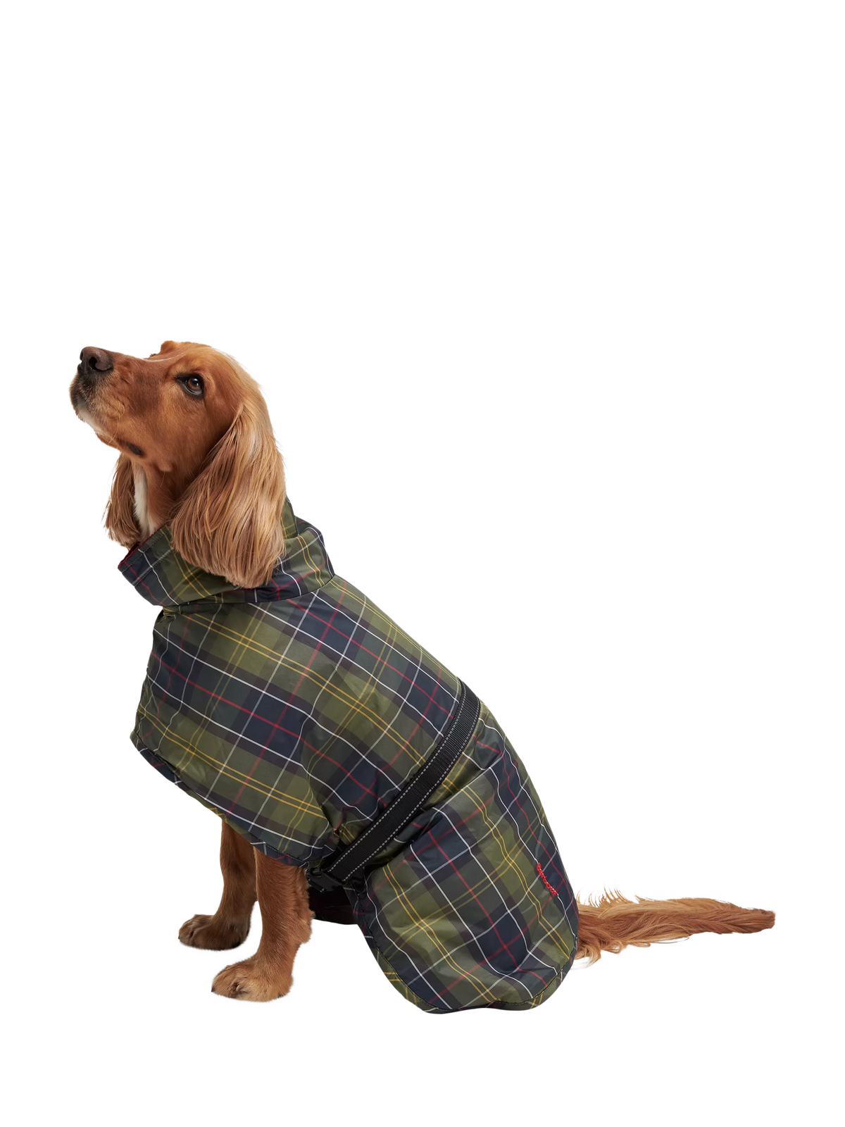 Barbour Tartan dog drying robe with cotton lining (British brand)