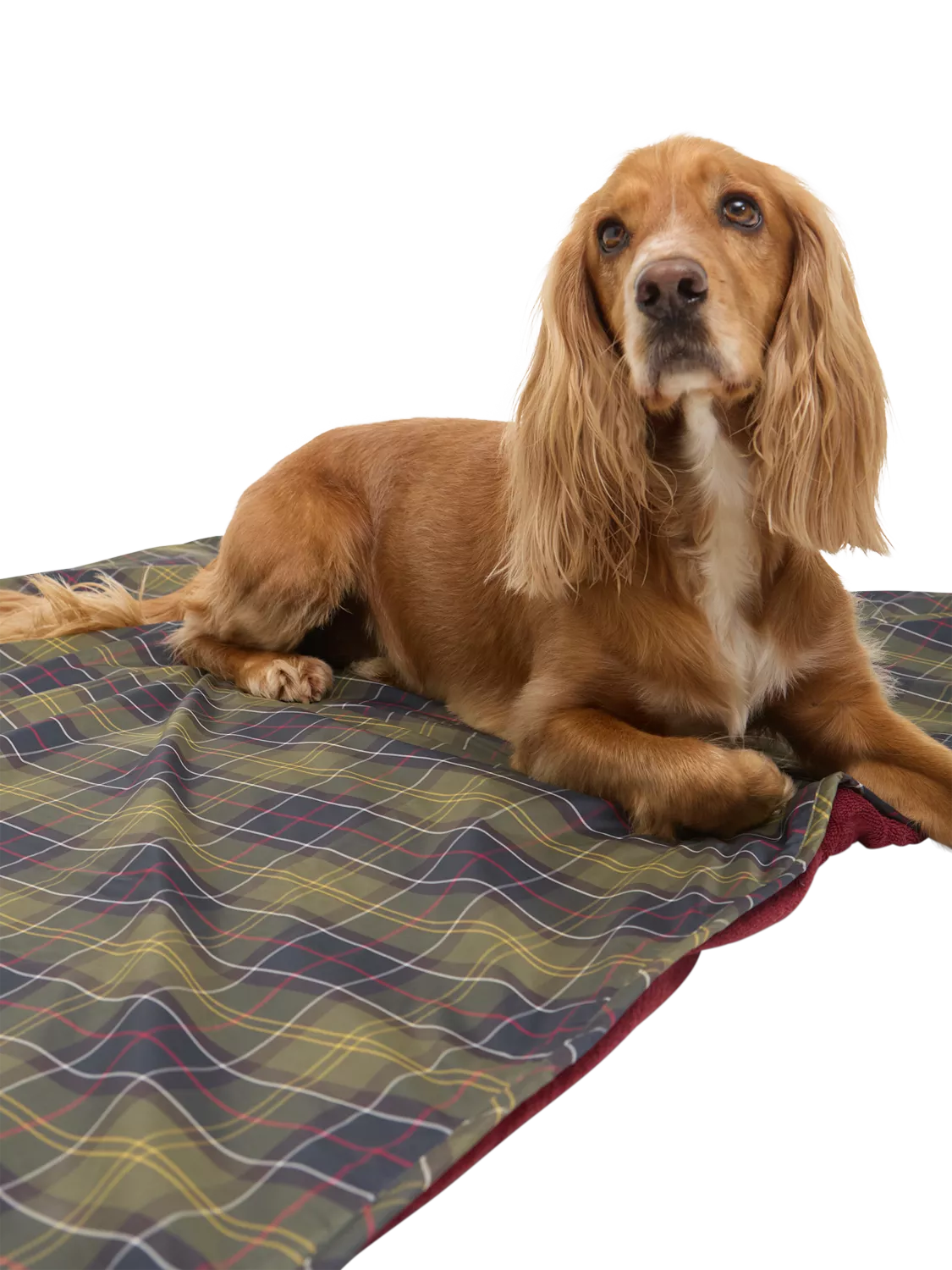 Barbour tartan dog towel blanket 100x120cm - British product