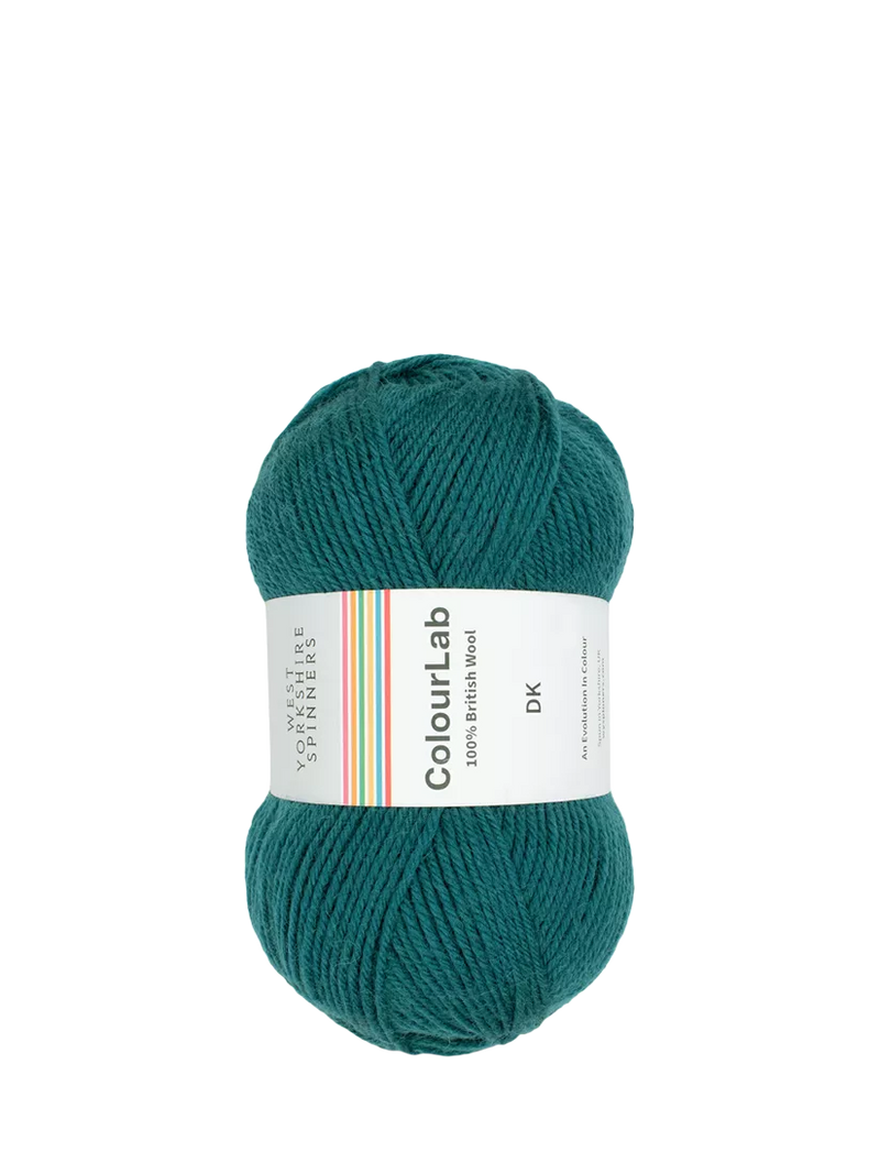 West Yorkshire Spinners ColourLab DK Knitting Yarn 100g