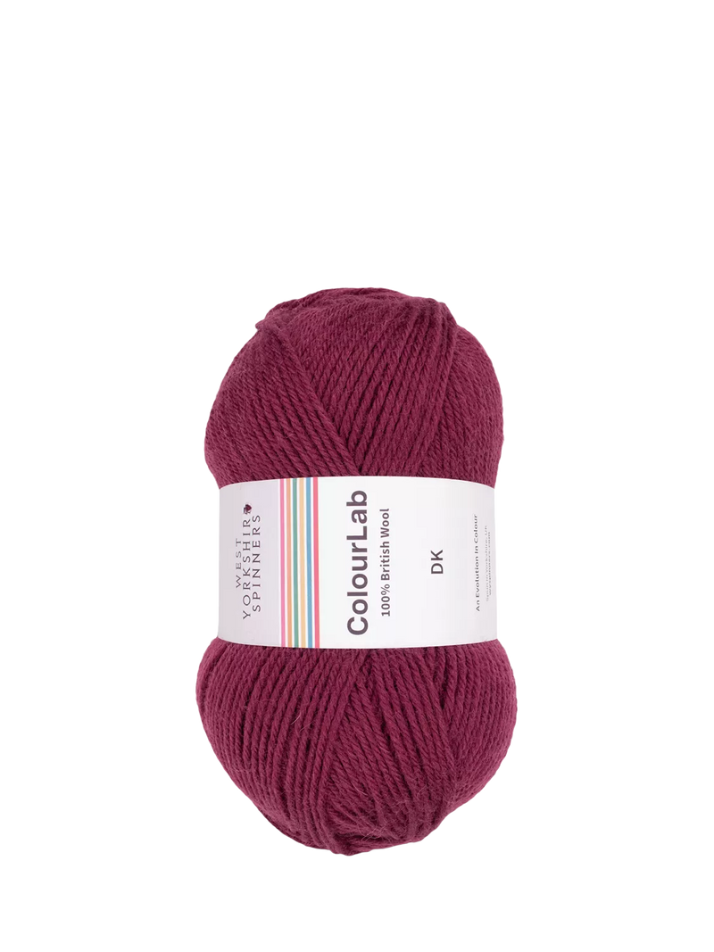 West Yorkshire Spinners ColourLab DK Knitting Yarn 100g
