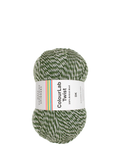 West Yorkshire Spinners Colourlab Twist DK Knitting Yarn, 100g