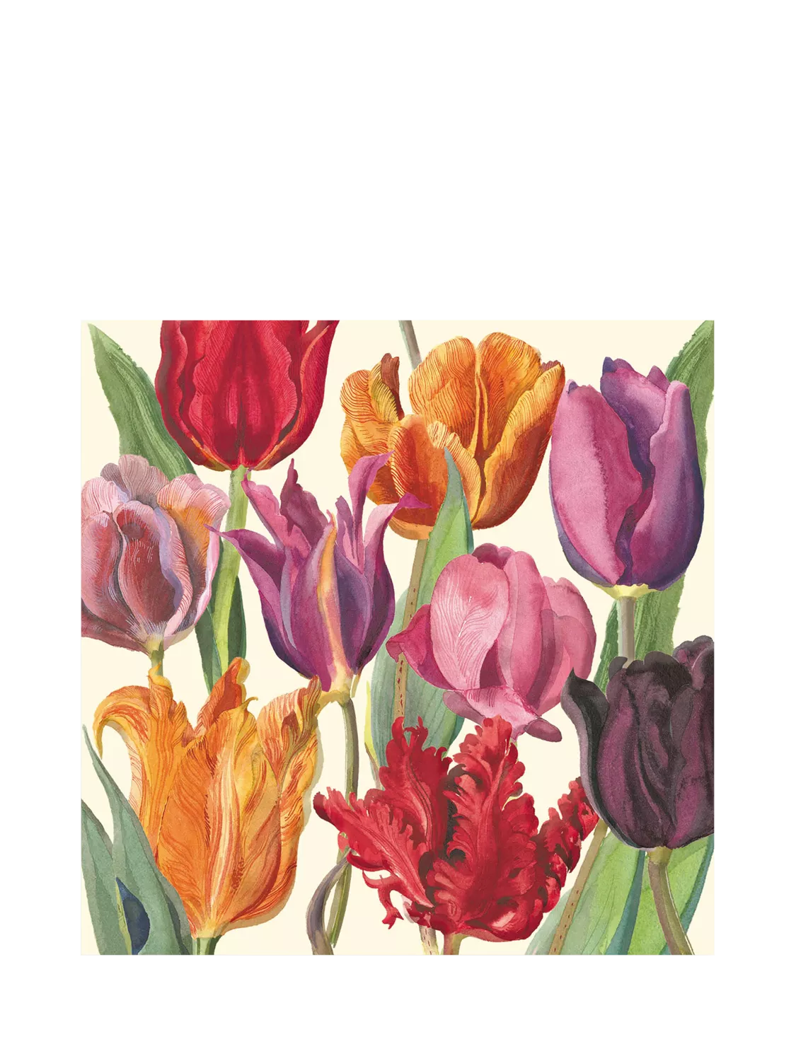 Emma Bridgewater illustrated tulips greeting card, imported from the UK