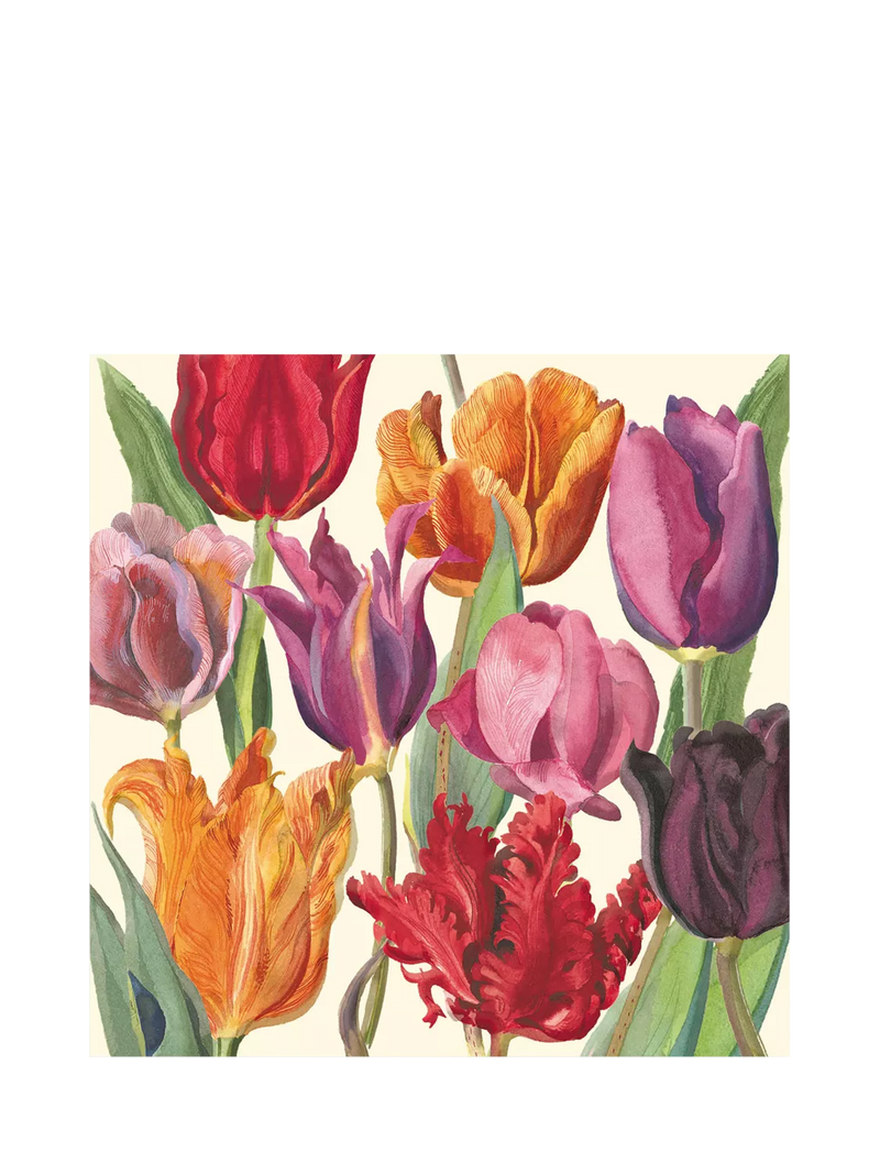 Emma Bridgewater illustrated tulips greeting card, imported from the UK