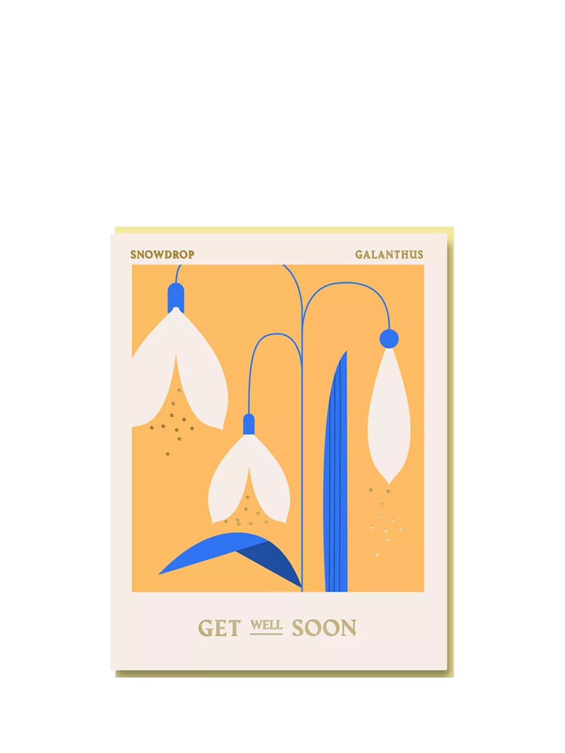 Nineteen Seventy Three snowdrop get well card (British brand)