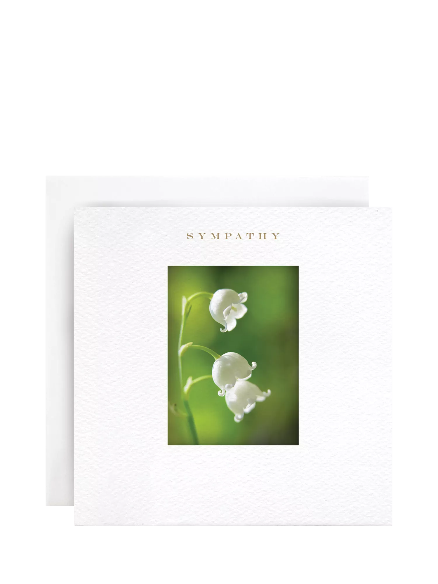Susan O'Hanlon Lily of the Valley sympathy card with white envelope - British product