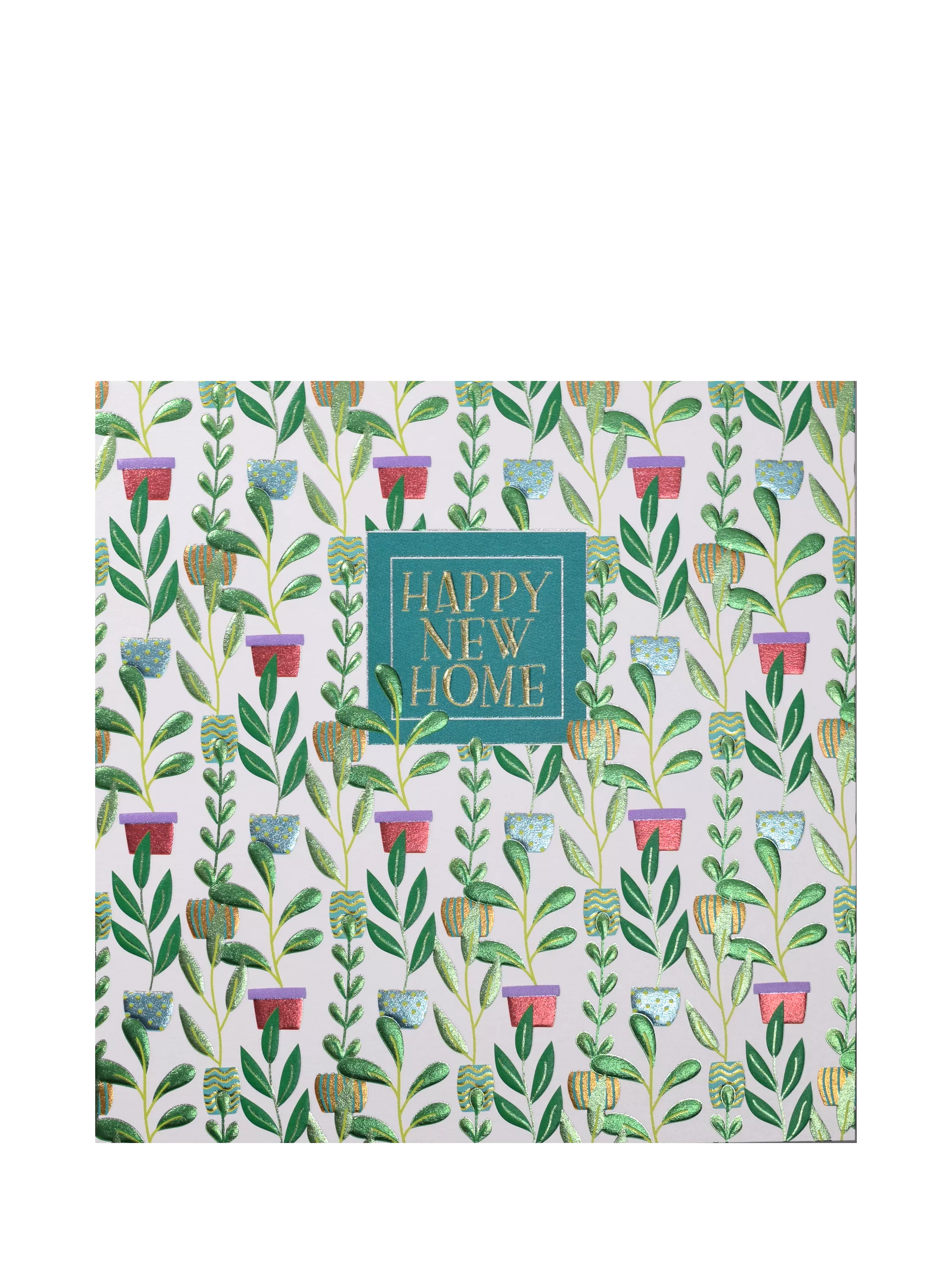 Wendy Jones Blackett Pot Plants new home card with foil, UK version