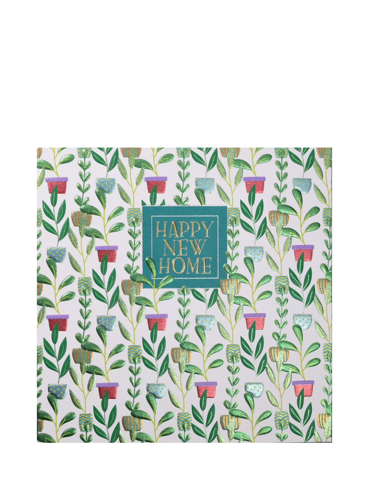 Wendy Jones Blackett Pot Plants new home card with foil, UK version
