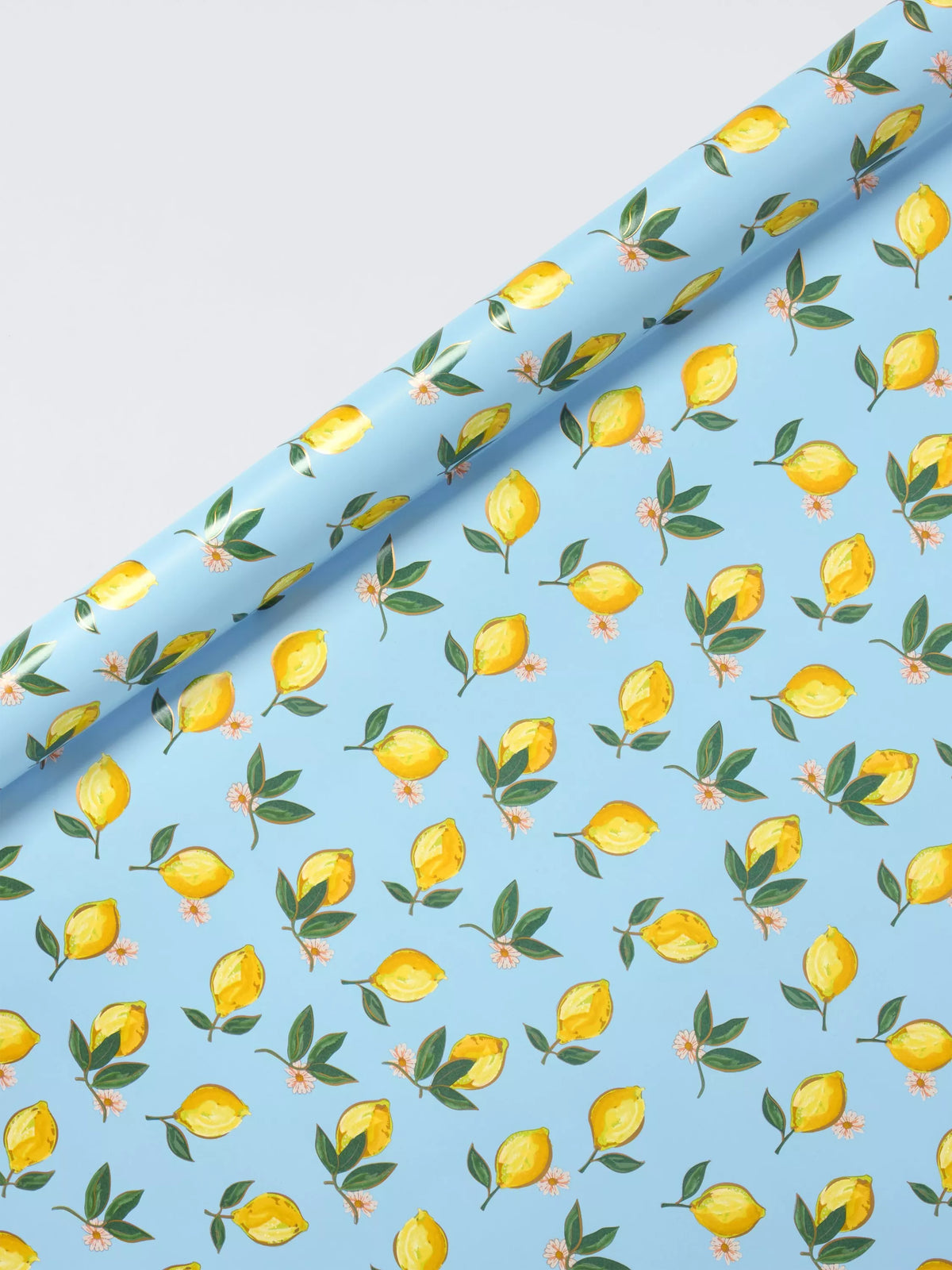Elizabeth Scarlett Blue Lemons wrapping paper 3m (British brand)