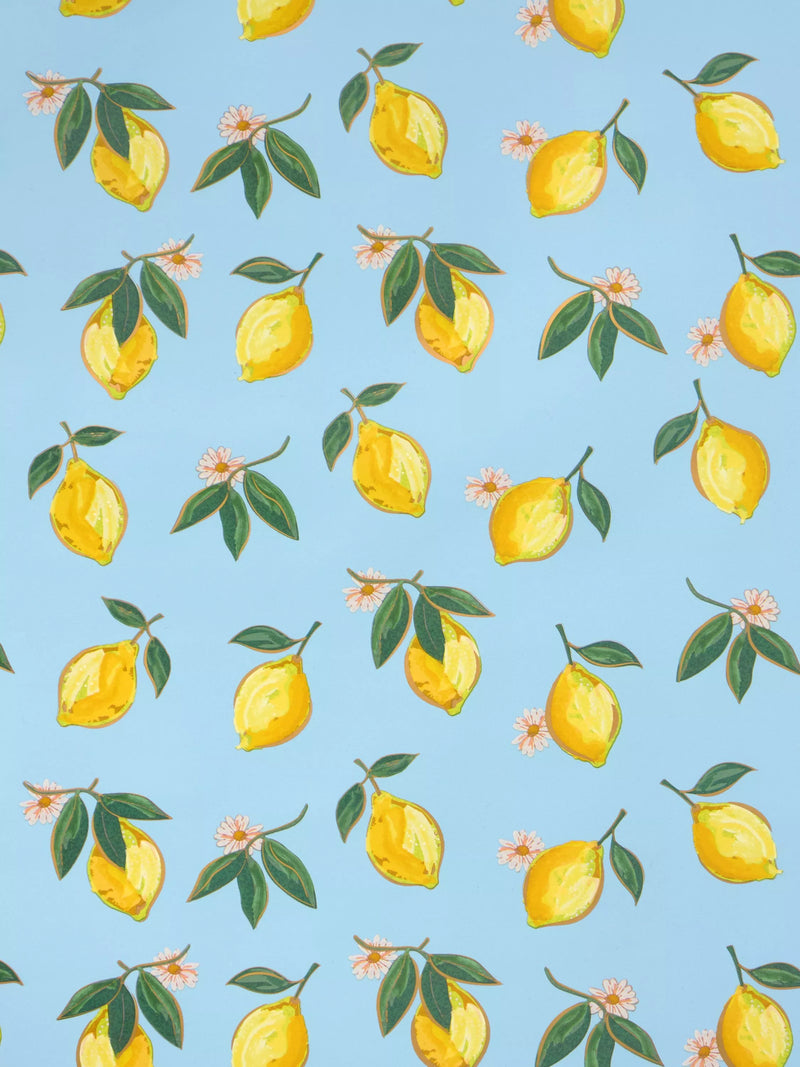 Elizabeth Scarlett Blue Lemons wrapping paper 3m (British brand)