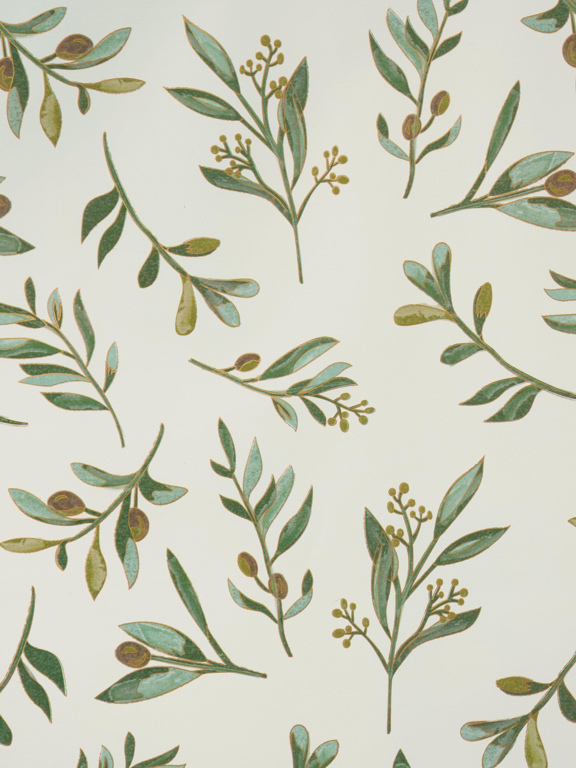 Elizabeth Scarlett olive leaves wrapping paper 3m, UK version