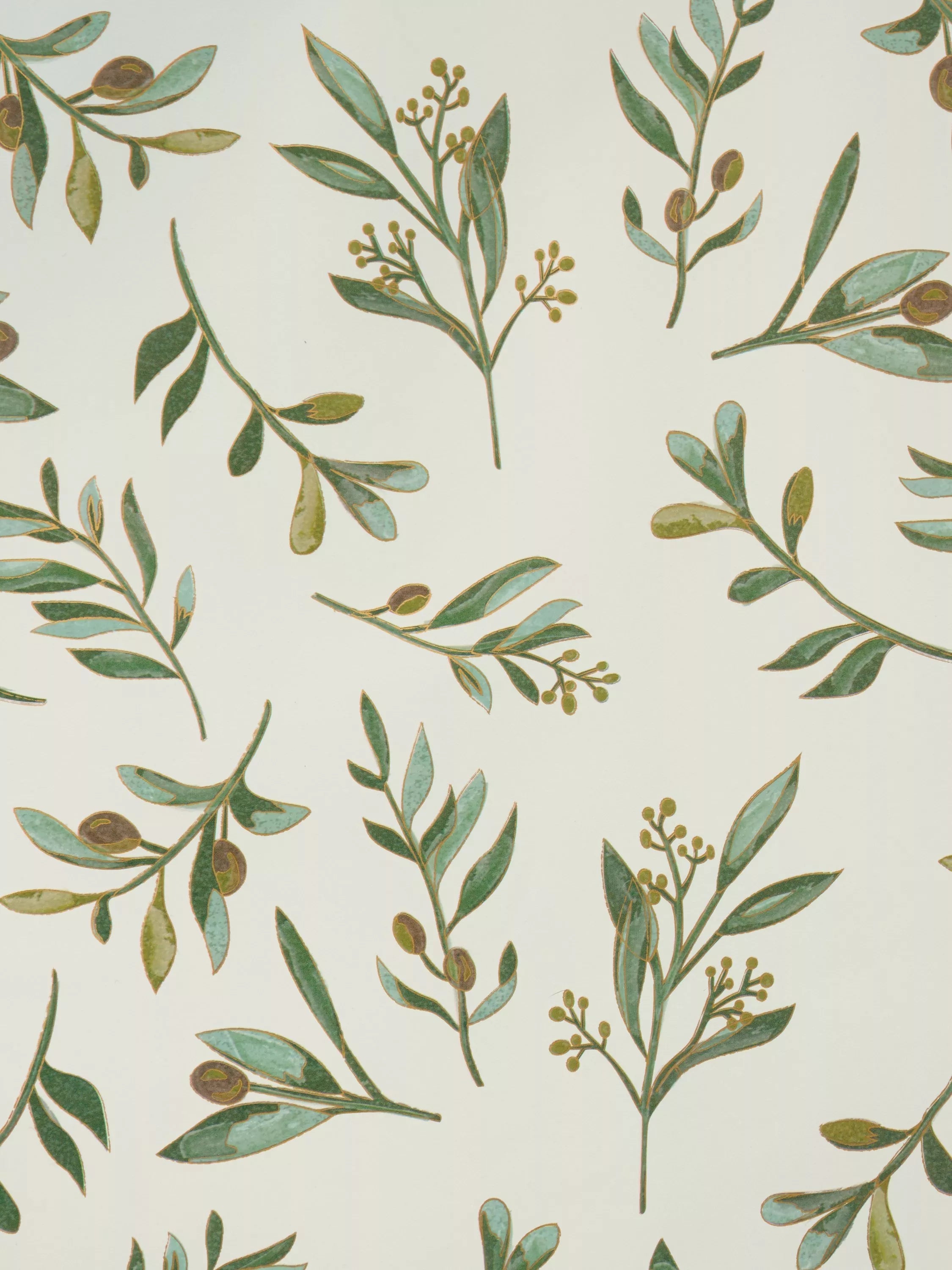 Elizabeth Scarlett olive leaves wrapping paper 3m, UK version
