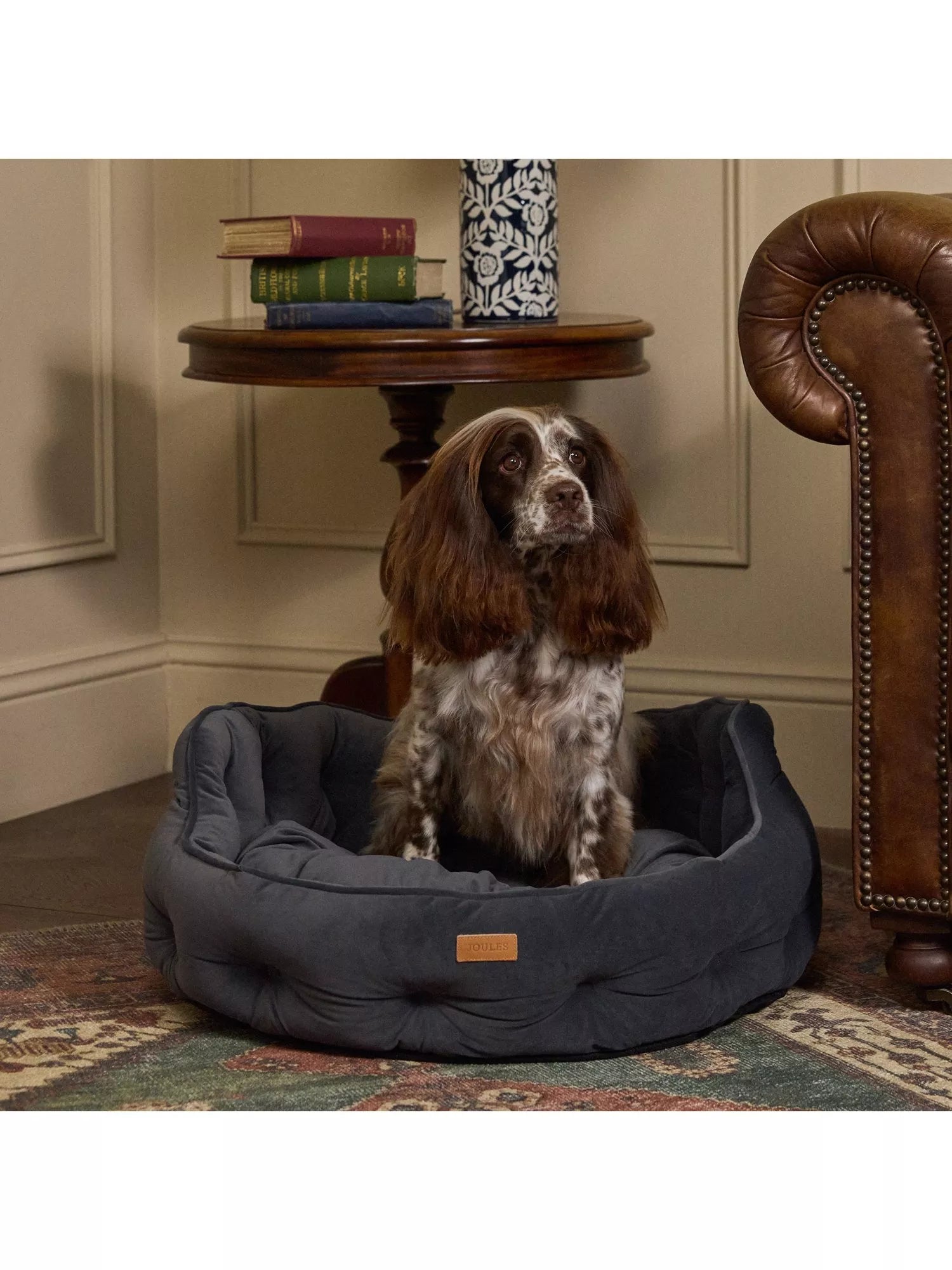 Joules velvet Chesterfield pet bed 51cm (British brand)