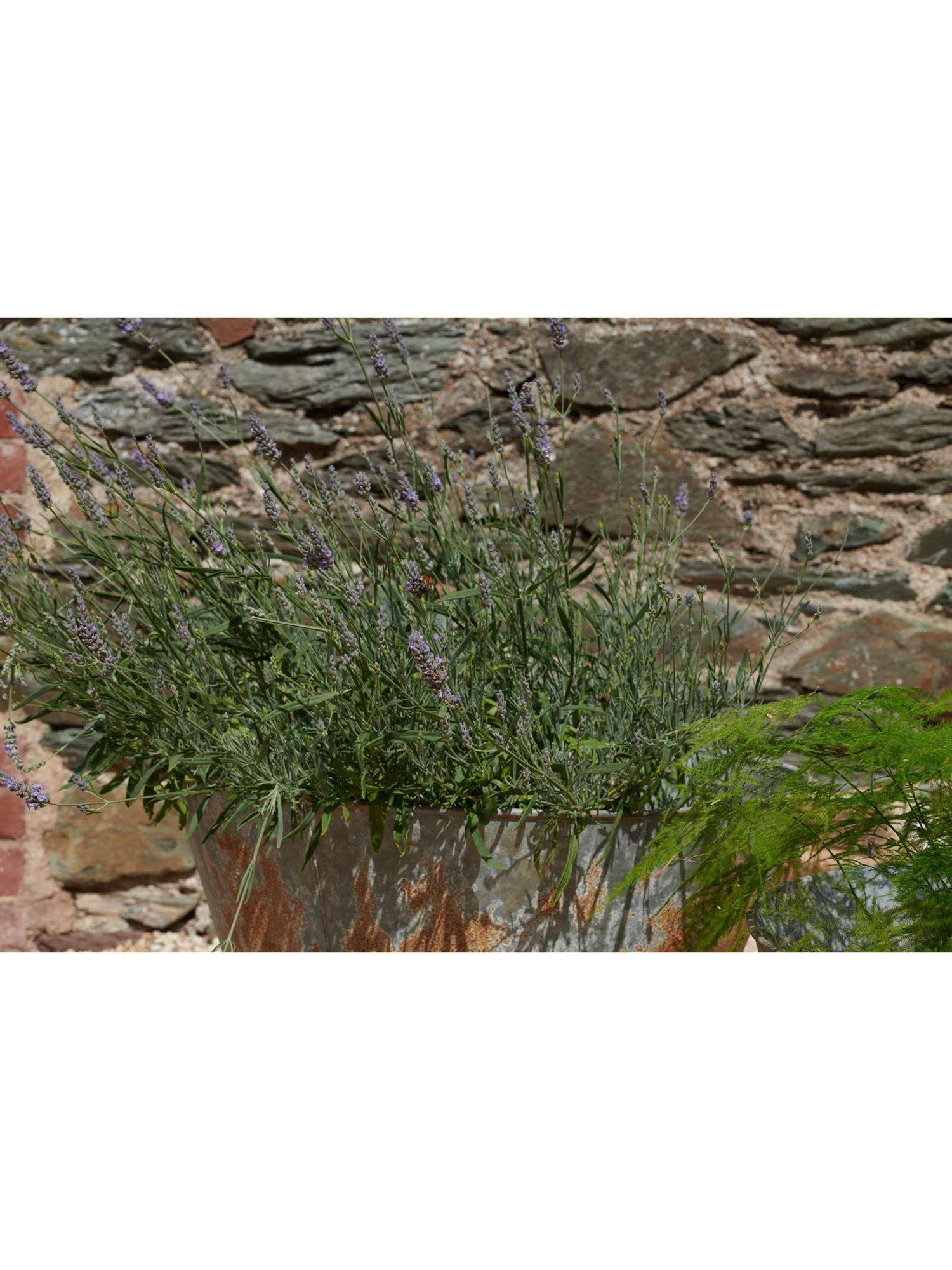 nkuku Abari Large Tapered Planter 45cm (British brand)