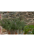 nkuku Abari Large Tapered Planter 45cm (British brand)