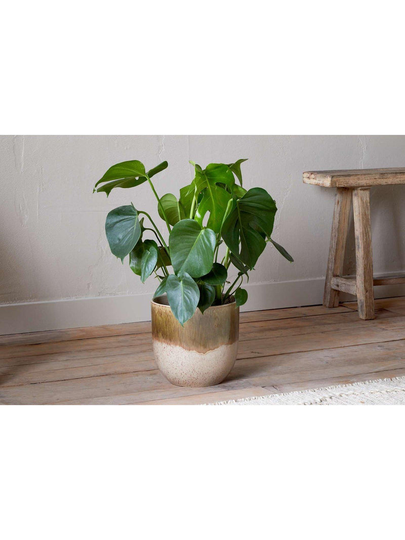 nkuku ceramic plant pot green cream large 23.5cm (British brand)