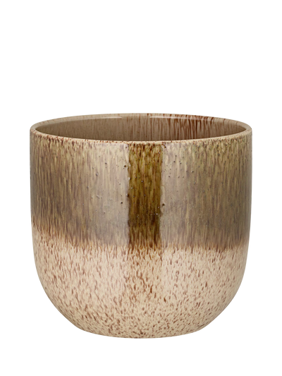 John Lewis nkuku Almeida Medium Ceramic Indoor Plant Pot 19.5cm Green/Cream- Buy online at McGrocer