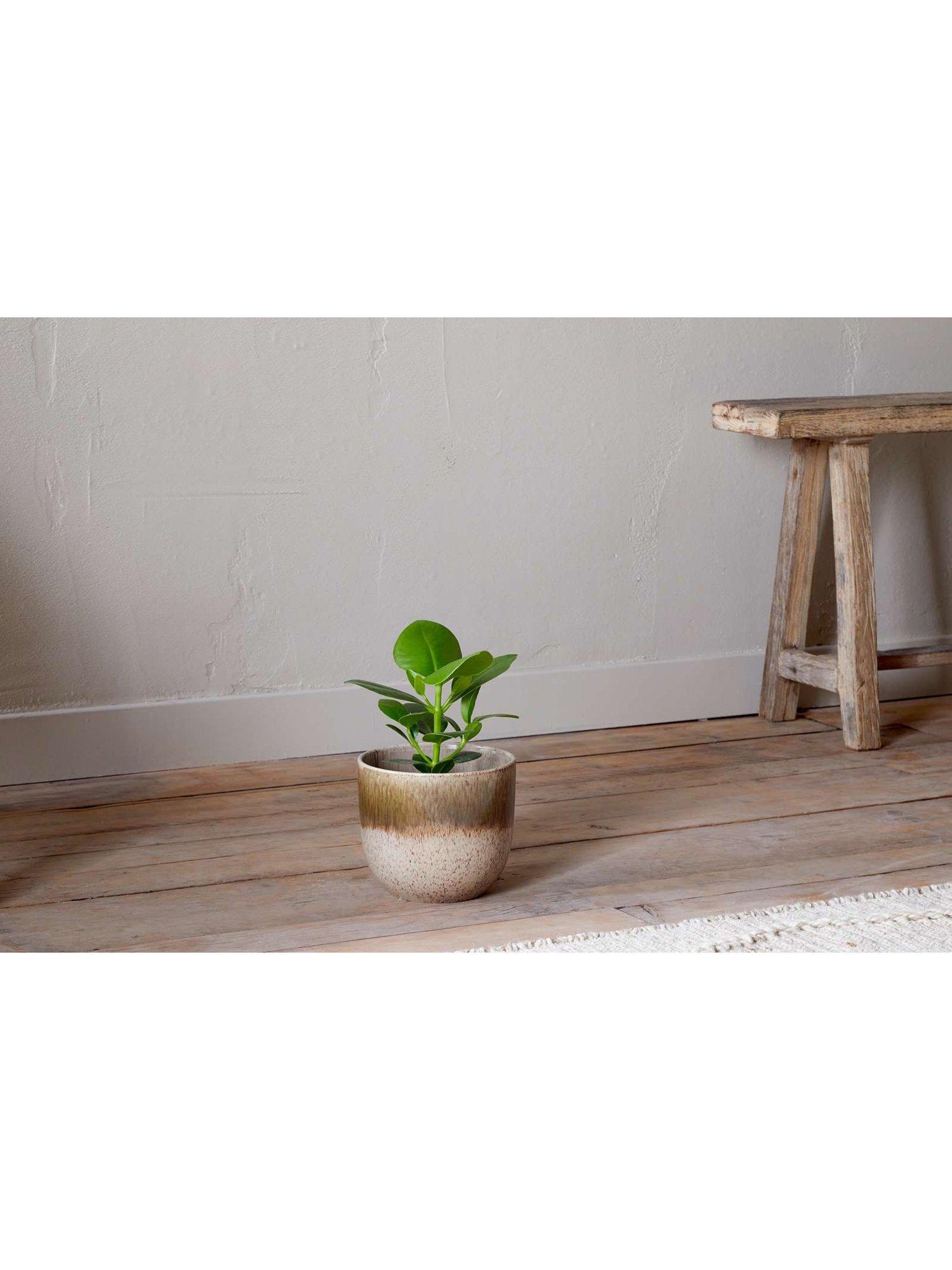 nkuku Almeida small ceramic plant pot 17.5cm (British brand)