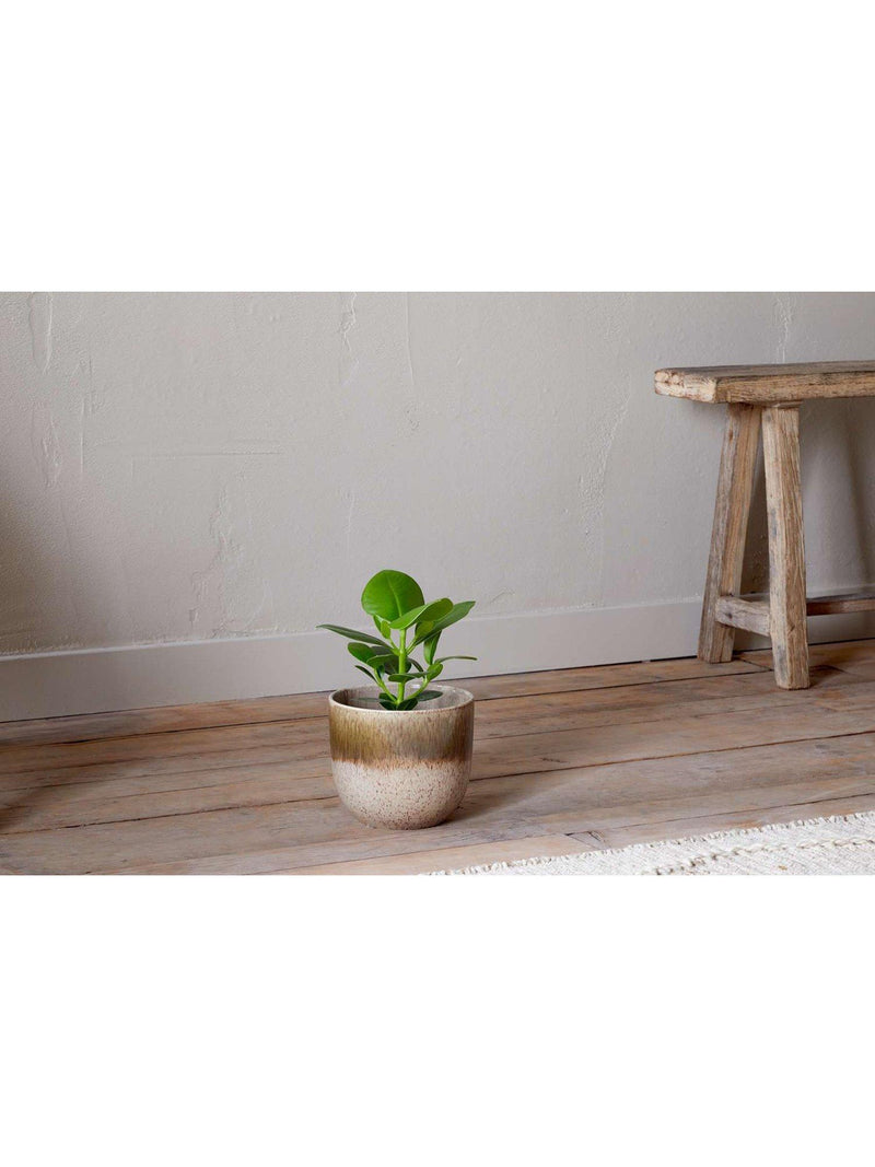 nkuku Almeida small ceramic plant pot 17.5cm (British brand)