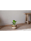 nkuku Almeida small ceramic plant pot 17.5cm (British brand)