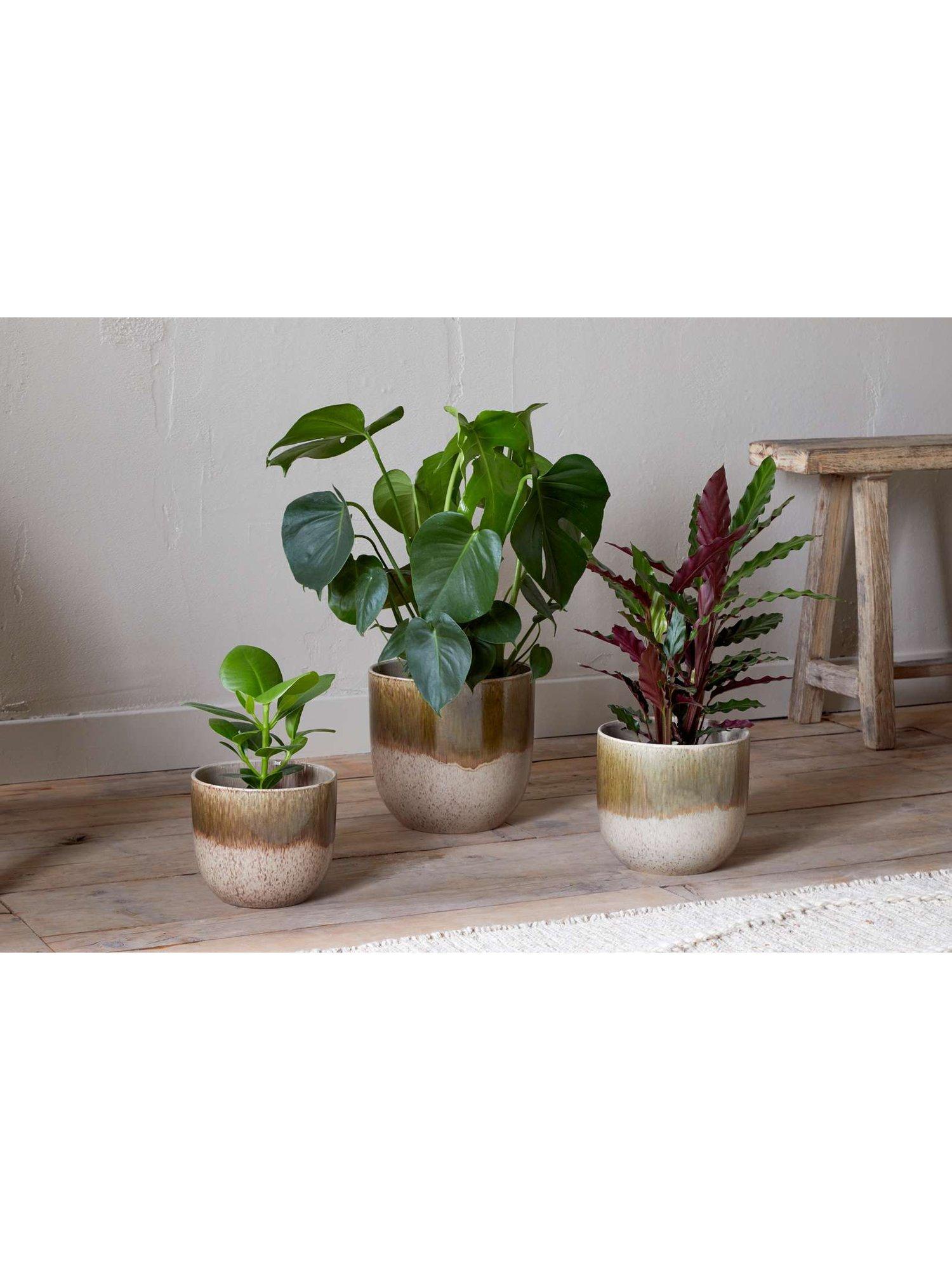 nkuku Almeida small ceramic plant pot 17.5cm (British brand)
