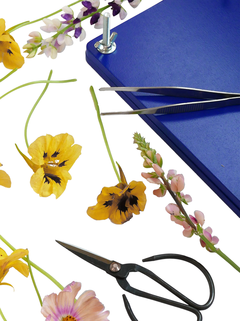 PRINTWORKS flower press kit - British product