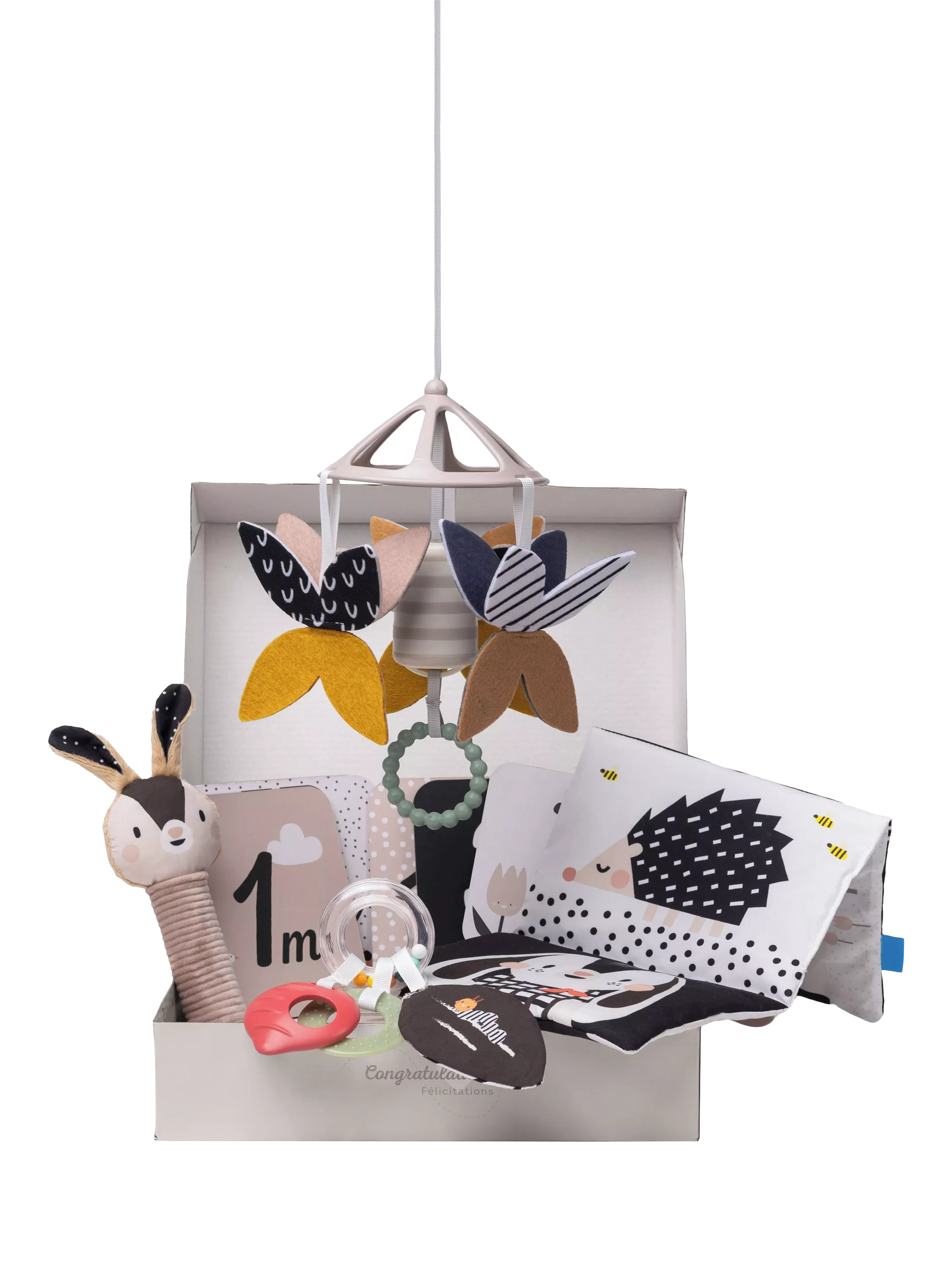 Taf Toys newborn black white kit 10 pieces - British product