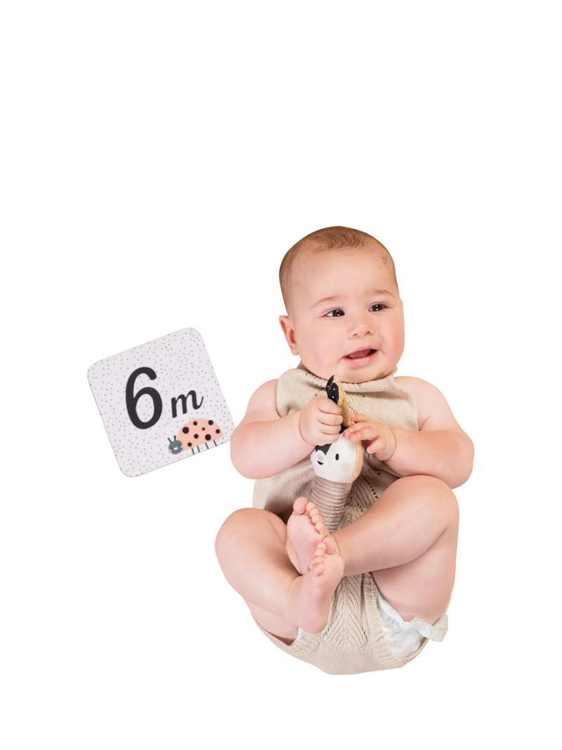 Taf Toys newborn black white kit 10 pieces - British product