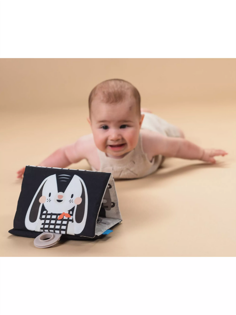 Taf Toys newborn black white kit 10 pieces - British product