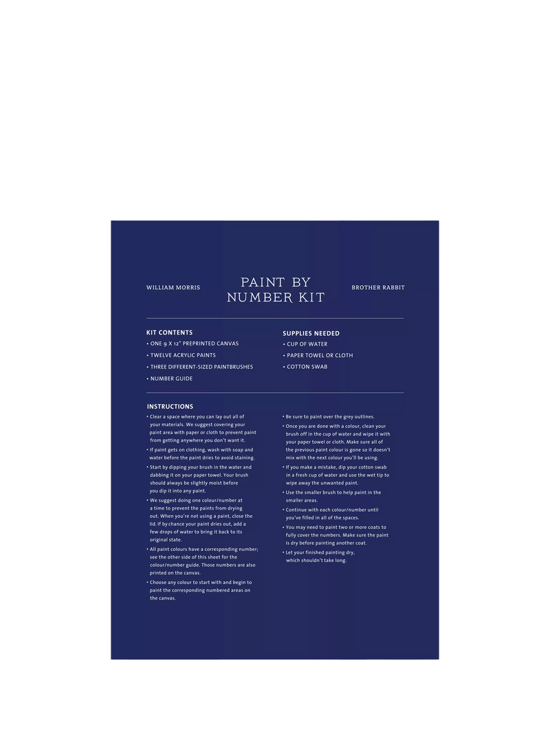 Galison William Morris rabbit paint kit 9x12 canvas - British product
