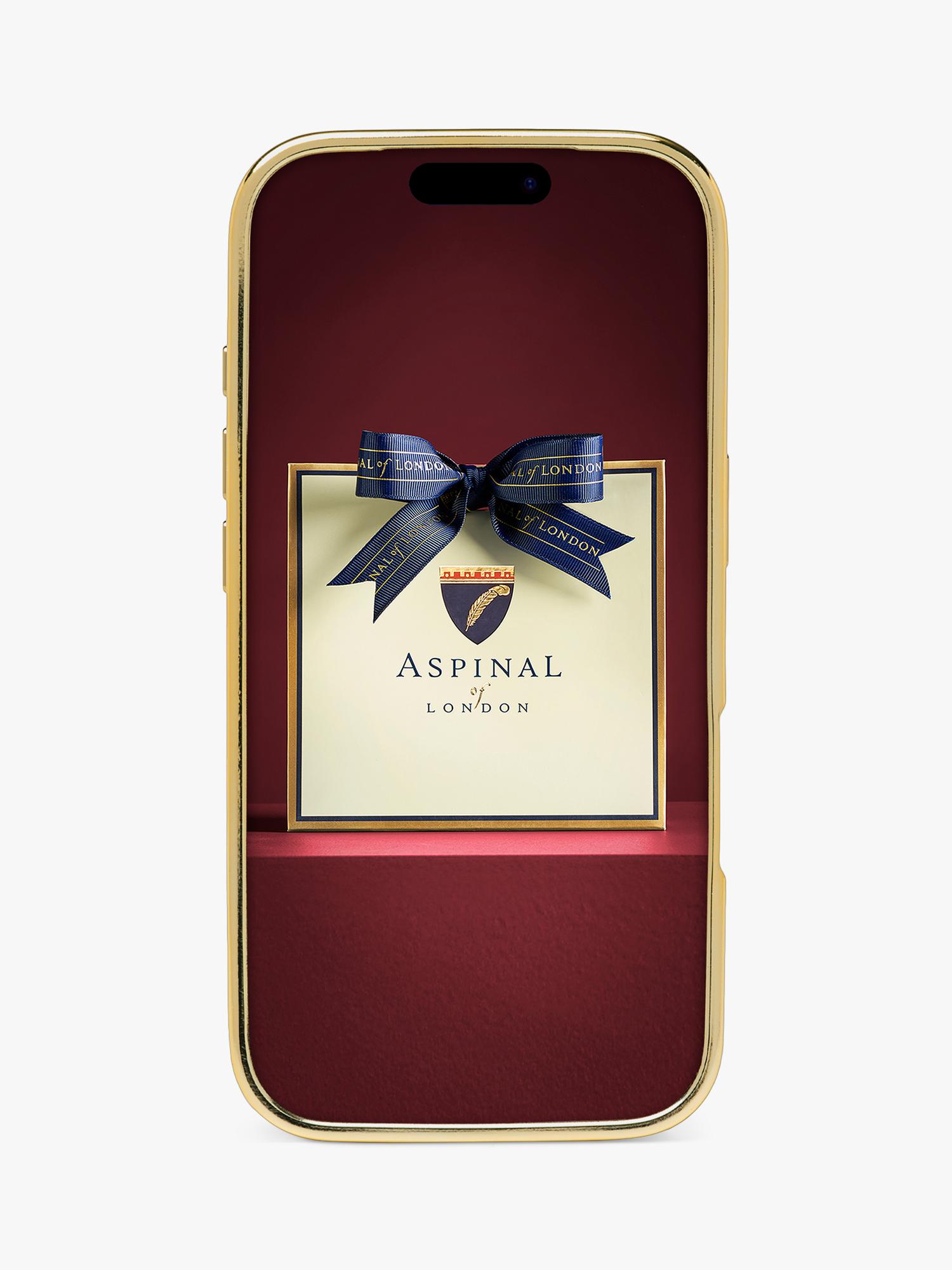 Aspinal of London iPhone 17 Pro leather case, imported from the UK